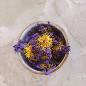 Heart Shaped Organics Wellness